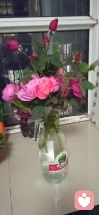 不管愛情、友情、還是親情，雙向奔赴的情感才有意義。你對人好，人也會對你好，心都是相互的，人是有感覺的。我從不后悔對任何一個人好，哪怕是看錯人，哪怕是被辜負，哪怕是撞南墻，因為我對你好，不代表你有多好，只是因為我很好。配圖