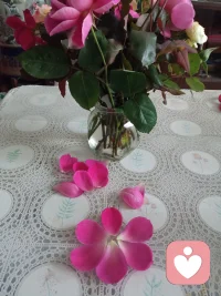 用行動去體會:將一個人喚醒是對這個世界最大的功德！我自己醒來是對這個世界最大的貢獻！親愛的伙伴讓我們共振這份愛的能量吧！??配圖