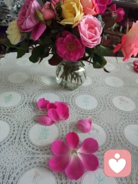 用行動去體會:將一個人喚醒是對這個世界最大的功德！我自己醒來是對這個世界最大的貢獻！親愛的伙伴讓我們共振這份愛的能量吧！??配圖