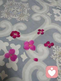 關(guān)注讓自己賦有美好的世界，關(guān)注成長的事情，忽略問題，越關(guān)注越固化、越深刻。永遠記得:愛只在美好的心靈中茁壯成長哦!親愛的伙伴讓我們一起共振這份愛的能量??配圖