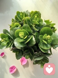 利他還是利己::利他，你給予每個人的使用價值（付出）必須遠遠大于他們所帶給你的貨幣價值（收益）。要得到你想要的，你必須先給予他人他想要的。用利他的過程達到索取的目的，這就是人生。過程中的利他會變成結果中的利己；過程中的付出會變成結果中的索取。不知我表達明白了沒有？配圖