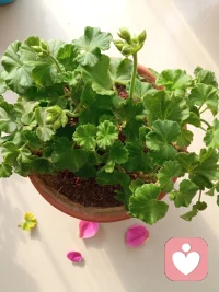 利他還是利己::利他，你給予每個人的使用價值（付出）必須遠遠大于他們所帶給你的貨幣價值（收益）。要得到你想要的，你必須先給予他人他想要的。用利他的過程達到索取的目的，這就是人生。過程中的利他會變成結果中的利己；過程中的付出會變成結果中的索取。不知我表達明白了沒有？配圖