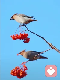 真实的场景::师a:请允许自己，人是完整的，没有恨，来不到当下的爱。如果有也是压抑未被满足的期待，曾几何时又会以别的方式钩住你，我就是世界另一个你，你也是世界另一个我。人生就是幸福喜悦，把别人还给别人。把自己交托自己。你是导演，怎么演，你决定。小b，谢谢你的看见、理解，内心被你看到，好轻松，长长的……谢谢你爱的鼓励， 记住了，允许自己，我是导演，怎样导好、演好戏我说了算!配图