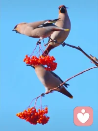 真实的场景::师a:请允许自己，人是完整的，没有恨，来不到当下的爱。如果有也是压抑未被满足的期待，曾几何时又会以别的方式钩住你，我就是世界另一个你，你也是世界另一个我。人生就是幸福喜悦，把别人还给别人。把自己交托自己。你是导演，怎么演，你决定。小b，谢谢你的看见、理解，内心被你看到，好轻松，长长的……谢谢你爱的鼓励， 记住了，允许自己，我是导演，怎样导好、演好戏我说了算!配图