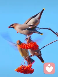 真实的场景::师a:请允许自己，人是完整的，没有恨，来不到当下的爱。如果有也是压抑未被满足的期待，曾几何时又会以别的方式钩住你，我就是世界另一个你，你也是世界另一个我。人生就是幸福喜悦，把别人还给别人。把自己交托自己。你是导演，怎么演，你决定。小b，谢谢你的看见、理解，内心被你看到，好轻松，长长的……谢谢你爱的鼓励， 记住了，允许自己，我是导演，怎样导好、演好戏我说了算!配图