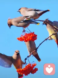 真实的场景::师a:请允许自己，人是完整的，没有恨，来不到当下的爱。如果有也是压抑未被满足的期待，曾几何时又会以别的方式钩住你，我就是世界另一个你，你也是世界另一个我。人生就是幸福喜悦，把别人还给别人。把自己交托自己。你是导演，怎么演，你决定。小b，谢谢你的看见、理解，内心被你看到，好轻松，长长的……谢谢你爱的鼓励， 记住了，允许自己，我是导演，怎样导好、演好戏我说了算!配图