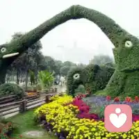 三角缠:“家庭动力学”中说到，家庭三角关系的三个角色：施害者，受害者和救人者。父母的感情不合，随时都有可能和孩子抱怨配偶。这个时候被抱怨的人就成了“受害者”，而孩子被迫地成为了“救人者”的角色，不知不觉中就被卷入了一场斗争中。
当一个家庭的生活状态不再是和谐的步伐，并且还伴随着频繁吵架，最后把孩子也卷入进来的时候，那就证明“三角缠”关系诞生了。
三角缠”关系的家庭，孩子容易出现这些问题:@孩子无辜受罪，@孩子充满负能量@孩子被迫成长……我想说的是:夫妻要直面夫妻间问题，不把孩子带进来，让孩子左右为难……配图