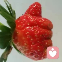 相互鼓励::我们学习成长的过程中，既要认知自己的天性，又要面对成长带给我们的挑战。如果我们实在迎接不了挑战，我们就回归到自己的天性里，如果我们还有一丝一毫的可能性，我们一定要成长上去。生命就是不断的上台阶，在上台阶的过程中，我们会出汗、流泪，也会劳累、疲惫，甚至我们会怀疑自己，也有可能会心生放弃的想法，但是只要我们勇往直前，下一站的我们一定会更美丽!!❤️配图