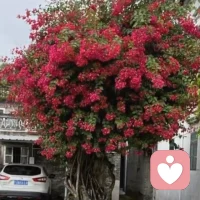 “真正的力量，是表达脆弱，而不是脆弱的表达。”这句话让我链接到了《都挺好》中的苏大强，他在儿女面前就是不停的表达脆弱，他始终处在牵着儿女的主动方……个人观点配图