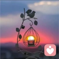 分享所悟::
一对夫妻的冷战
其实是导火索
每个行为背后都有信念
信念都是原生家庭形成的

婚姻是最好的修行道场
有了更深刻的理解

很多行为都是导火索
导出来的是小时候养成的行为模式

他的冷战也许是小时候没有办法应对父母的要求，选择逃避，长大后处理冲突的办法就是逃避，婚姻里反应为冷战。配图