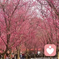 分享感悟::我們一生要為自己而活，全然的接納自己、喜歡自己，愛不在別處，愛就是我們自己，我想說的是別太在意別人怎么看我、別人怎么想我。其實，別人如何衡量你也全在于你自己如何衡量自己。我們唯一要做的是:精準的劃分出自己的事、別人的事、老天的事，就一切安好了??配圖