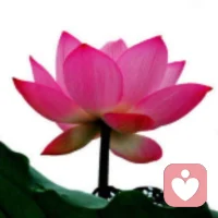 結婚真的不只是兩個人的事::
兩個人結婚，其實不是兩個人結婚，而是六個人：你背后的父母和我背后的父母。
不是說我們必須一起住，而是說這個人身上他的愛好氣質(zhì)秉性都奠定在他的原生家庭里了。
你如果看一個女孩，你就看她媽媽是什么樣子，你會發(fā)現(xiàn)她越老越像她的媽媽。你要看一個男孩，那你就看他跟他父親的關系，體現(xiàn)了他自己有沒有自我認同。看他和他母親的關系和不和諧，體現(xiàn)了他懂不懂跟女人相處，這些是一個特別龐大且重要的話題。配圖