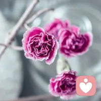 自我肯定金句與親愛的伙伴共享:

??我永遠可以吸引到我需要的所有幫助

??我一直被完美地保護著，創造一個完全而又充滿愛的世界配圖