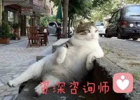 ❤️感恩生命中给了我无数次的恐惧体验，让我用爱去接受接纳每一个当下的发生，对不起，请原谅，谢谢你，我爱你!曾经我把你给封闭了，现在我看见了你也是我生命中的一份能量谢谢!
❤️感恩我自己，我永远可以吸引到我需要的所有帮助。我一直被完美地保护着，创造一个完全又充满爱的花园(世界）
亲爱的伙伴，让我们共振这份感恩的能量，好不好!!配图