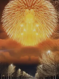 我當下的感悟是最真實的::
??我以前覺得一定是先要照見自己，再見天地，后照見到眾生。今天驚喜的發現，沒有順序，我自己是一切的根源，我看到的都是我內在這個階段投射的。所以不需要改變任何人，做好自己，一切都因我而發生。突然特別的相信了改變自己，清理自己，篤定的去修行自己。用接地氣的話就是“搞定自己，天下太平”“搞定自己，為民除害”。
??我愿意和伙伴共振這份能量，讓這樣一個愛的場域更具吸引力，我愛自己，愛大家，我愛我們??配圖