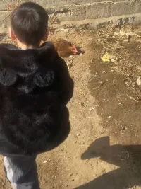 ??美美與共金句共享::
1，沒有痛苦的人，只有痛苦的想法。
2，我愛你與你無關，因為我心中有愛；我恨你與你無關，因為我心中有恨。
3，指責丶抱怨、憤怒都是基于恐懼衍生出來的情緒。
4，對于人或事，只做客觀的描述，不作任何評判。
5，關系大于教育。關系好了，一切都OK。
??感恩我的天選師者身體力行的引領！我們因愛而生、我們因愛而聚、我們因愛而獲得高能的智慧！我愿意心甘情愿的跟隨天選師者的同頻節奏，一步步鏈接宇宙的能量，借由身心的鏡子，活出自己綻放的生命。
??親愛的伙伴，讓我們共振這份愛的智慧吧！配圖