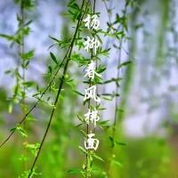 美美與共::幸福從連接的那一刻開始

??敢于與小草連接，小草是朋友
??敢于與大樹連接，大樹是朋友
??敢于與高山連接，高山是朋友
??敢于與小狗連接，小狗也是朋友
??敢于與世界連接，世界就是朋友
親愛的伙伴，“你愿意心甘情愿”的去連接世界嗎？

答:我愿意!我和你連結，就有了我們”，我們敞開與世界連接，我們接收到宇宙的能量，我們成為宇宙的一部分，真的是心甘情愿的去做??配圖
