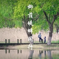 美美與共::幸福從連接的那一刻開始

??敢于與小草連接，小草是朋友
??敢于與大樹連接，大樹是朋友
??敢于與高山連接，高山是朋友
??敢于與小狗連接，小狗也是朋友
??敢于與世界連接，世界就是朋友
親愛的伙伴，“你愿意心甘情愿”的去連接世界嗎？

答:我愿意!我和你連結，就有了我們”，我們敞開與世界連接，我們接收到宇宙的能量，我們成為宇宙的一部分，真的是心甘情愿的去做??配圖