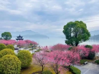 分享了一本書《被討厭的勇氣》，自從讀了它，我體驗到了做自己的勇氣……我是一棵仙人掌，那又怎樣嘛!

自從我活在仙人掌的感覺里，跟隨內在的感覺去拒絕一些人和事，舒心多了，把力量都收回到了自己身上。
整個人感覺真的“太好了”……煩變成順，一順百順萬事順!

仙人掌其實就是心理學術語，叫做有邊界感。

親愛的伙伴，你愿意和我一樣做一棵堅強、淡定、開著粉色花朵的仙人掌嗎??????????配圖