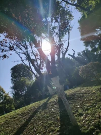 ??先允許自己，而后才能慢慢允許他人。

??不忘導師的話:你從來都沒有說錯過一句話，也從來沒做錯過一件事，那時那刻你說的、做的都是最適合自己的，更適合那個環境場景。

??相信我們會通過學習、不斷的成長自己，我們說的、做的一定會越來越讓自己滿意。讓他人也更輕松自在。配圖
