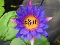 ?今天是國際幸福日

幸福其實很簡單，是健康平安，是身邊有伴，是一頓可口的飯……

幸福不在別處，就在身邊，
愿你用心感悟生活，抓住當下的幸福。

幸福不是多奢侈的生活，是生病時的噓寒問暖
是孤單時的溫柔陪伴，是快樂時有人分享
是難過時有人分擔?配圖