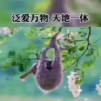 ??“翻篇”是一種很重要的能力，
如果你總是抓住過(guò)去放不下，
無(wú)謂的消耗自己，就會(huì)陷入死循環(huán)，
痛苦是因?yàn)榛钤诹俗蛱欤箲]是因?yàn)榛钤诹宋磥?lái)。配圖