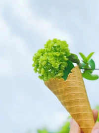 親愛的伙伴們午安:

每天一樣的太陽，不一樣的風景

每天相同的時間，不一樣的內容

無論何時何地，把每一天都看作是一種新生

記得開心，記得快樂！配圖