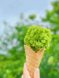 親愛的伙伴們午安:

每天一樣的太陽，不一樣的風景

每天相同的時間，不一樣的內容

無論何時何地，把每一天都看作是一種新生

記得開心，記得快樂！配圖