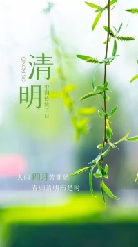今日清明::
清明，教會我們不忘本，不忘從哪里出發；
清明，教會我們在愛中告別，最好的緬懷是記得，也是放下。
今日清明，愿你不負時光、珍惜當下，帶著所愛之人的囑托，勇敢從容地過好每一天。早安！配圖