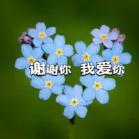 共享::《生命在于管理，能量需要管理》

戒：戒掉生命中所有耗損您能量的人和事

定：定心下來鎖定此生要去做的事

慧：鐵棒和磁鐵的區別在于，磁鐵可以吸引所有的鐵，打開智慧，靈感無限

??打開體內天、人、地建立自己的小宇宙配圖
