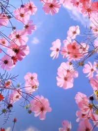 分享三件让人幸福的事情：
❤️有人爱，不仅仅是被人爱，而且有主动爱别人爱世界的能力；
❤️有事做，让每一天充实，事情没有大小，只有你爱不爱做；
❤️有所期待，生活就有希望。人不怕卑微，就怕失去希望，期待明天，期待阳光，人就会从卑微中站起来。

❤️祝福大家善缘围绕一切都好配图