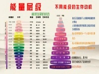 ????
凡是我期待的，都控制了我自己。
凡是你在乎的，都束縛了你自己。
當我們什么都不想要的時候，天地都是我們的，
……這就是無欲則剛。

?配圖