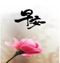 我们的身体比我们自己更智慧。无论我们做什么，请让我们的身体参与配图