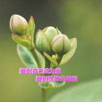 生命是一場尋找和找到的游戲
你尋找什么就一定會找到什么配圖