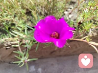 好言好語:

凡是你想控制的，
其實都控制了你自己…

當(dāng)你什么都不要的時候
天地都是你的…配圖