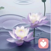 知識共享  情緒壓力之 ~~心理自愈
人的心理有著強大的自愈能力，沒有任何輔助好起來的，心理會更強大。

知識點詳解
一只猴子從一棵樹上跳到另一棵樹上，不小心樹杈在胸前劃了一道傷口。傷口不致命，但是猴子卻死了….…

情景一:出于愛和關心，很多猴子噓寒問暖，一個接一個扒拉開傷口看，幾天后，猴子因感染而死;

情景二:劃傷后，這只猴子為了博得別人的同情，獲得關注，逢人便把傷口扒開，展示給其它猴子看，致使傷口長時間無法愈合而死。

實踐與應用
1一般可自愈的心理問題，不要過度依賴心理咨詢師。
2.不要逢人便訴說自己的不幸。
3.不是每個心理咨詢師都可以把你的傷口縫好，要理智對待。

不是人人都有心理問題  ，但是人人都有心理需求 關注心理健康真的很重要。配圖