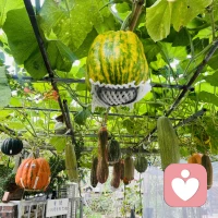 親愛的伙伴現在好!
我是格兒，坐標河北唐山
今天是鏡子練習第19天：以感恩的態度生活??
練習以下自我肯定句，并把每一個字都當成鏡子中的自己

我的床啊早安!非常感謝你給我的溫暖與舒適。
親愛的格兒,這是受到祝福的一天，一切都很好。
我感謝自己的甜美笑容。
我感謝自己今天覺得非常健康。
我感謝自己是一名合格的傾聽師。
我感謝今天要碰面的朋友。
我愉悅地對生命付出，生命則充滿愛地將之歸還到我身上。
我優雅地給予及接受禮物。
對當下的一切感恩感恩感恩!

幸福的格兒，謝謝你，我愛你!
么么噠!美美噠！香香噠！……配圖