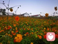 ??鼓勵(lì)對(duì)方多說話??

??“我想知道，你這么優(yōu).秀，你是怎么做到的”配圖