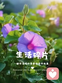 ?格兒分享一個經典金句?

沖突是在生活中經常會遇到的
沖突讓人成長
只是你要區分哪邊是陰暗面
哪邊是光明面
心理咨詢師就是這個世界的光明
只要光明閃耀，就會照亮許多人
                ——索菲·海靈格配圖