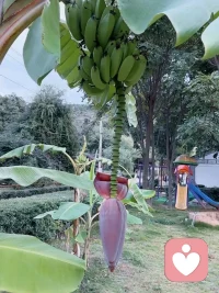 記得:
你關(guān)心別人的時(shí)候，
任何形式的暴力都會(huì)從你身上消失，
包括你的憤怒、你的敵意和你的驕傲。配圖