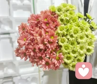 聊天:
懂得拼盡全力，也要學(xué)會好好休息。
今天周日，放慢節(jié)奏，給生活留白，給內(nèi)心充電；
享受烹飪，犒勞一下家人和自己；
秋高氣爽，親近自然，讓生活從容且豐盈。
愿你，愿我，愿我們，
都收獲好狀態(tài)，為生活、為夢想蓄力!配圖