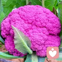 今天想聊聊學習的幾個階段
我從自己一路走來的經(jīng)歷，把學習分為學丶習丶體丶悟四個階段。

1）學，先熟讀理論。如果自己對理論一知半解，那這知識還是老師的。就如我開始學習，以為自己懂得了心理學知識，就用這些知識衡量和要求家人，導致家人不僅反對我學習，還對心理學有了芥蒂。
我們學習心理學是為了認清自己，做回自己，并不是為了要求家人。

2）習，把所學的東西在生活中習煉起來，把理論內(nèi)化。
否則就是紙上談兵，也只能像大多數(shù)人一樣“讀了不少書，學了不少道理，仍然過不好這一生”。
我們要把所學的東西在生活中習煉起來，才能逐步內(nèi)化。

3）悟，通過自己在生活中的習煉、體驗，你才能真正把它納入自己的經(jīng)驗體系。心理學真的是一門讓人幸福的學問。
踐行于自身，我看清了自己的一些固有的模式，我認知到了自己的一些限制性信念，我完成了與自己的合解，我理順了和父母的關(guān)系，我從理解自己到能接納別人……

4）悟。形成自己的經(jīng)驗體系之后，繼續(xù)在生活中慢慢沉淀，讓知識轉(zhuǎn)化成自己的生命智慧。
這需要我們一生的踐行，需要我們終身成長，保持持久的學習力。這樣，我們才能不斷充實自己、做好自己，造福家庭，有益于社會。配圖