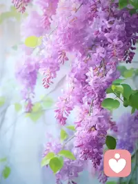 熱愛??

生活是枯燥的
快樂?是自己給的

愿我們能都?讀懂生活
卻然依?熱愛生活

看穿?所有
卻依?然向往?美好配圖