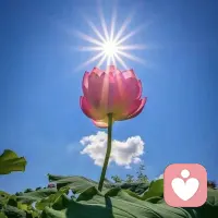 ??我認同的觀點，你認同嗎？

“人到了一定年紀，真正決定你生活質(zhì)量的，其實是家庭。”

這世上任何投資都有風險，
只有對家庭的投資一本萬利。

你給孩子一個笑臉，
TA會給你一輪太陽。

你給伴侶一個擁抱，
TA會給你整個春天。

永遠要記得：
把你的家庭經(jīng)營好，
就是在賺q。配圖