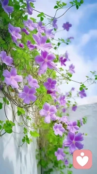 對父母的“愚忠”限制了我們的生命

不學不知道
學習了才知道
父母有父母的命運
我們有我們的命運
通過學習 
明白不再去重復父母的路 
活自己精彩的人生

??感恩感謝我老師的傾情分享??配圖