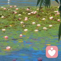 每一個最不可愛的言行 

都是最需要被愛的信號配圖