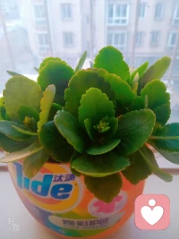 ??親愛的伙伴，早上好，送你一杯加糖咖啡:

不停下前進的腳步，就能將難走的路變成成長的路。

愿你無論手心向上、向下，都能贏得底氣；
目光向內，守住自我。

腳步向前，踏平坎坷，
活成自己喜歡的樣子，過上自己想要的日子。配圖