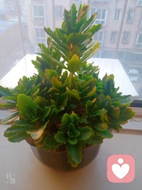 ??親愛的伙伴，早上好，送你一杯加糖咖啡:

不停下前進的腳步，就能將難走的路變成成長的路。

愿你無論手心向上、向下，都能贏得底氣；
目光向內，守住自我。

腳步向前，踏平坎坷，
活成自己喜歡的樣子，過上自己想要的日子。配圖