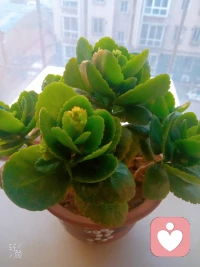 ??親愛的伙伴，早上好，送你一杯加糖咖啡:

不停下前進的腳步，就能將難走的路變成成長的路。

愿你無論手心向上、向下，都能贏得底氣；
目光向內，守住自我。

腳步向前，踏平坎坷，
活成自己喜歡的樣子，過上自己想要的日子。配圖