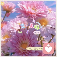 美好的一天里
祝大家
能量滿滿
財(cái)富豐盛
關(guān)系美好
家庭和諧配圖